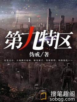 第九特区